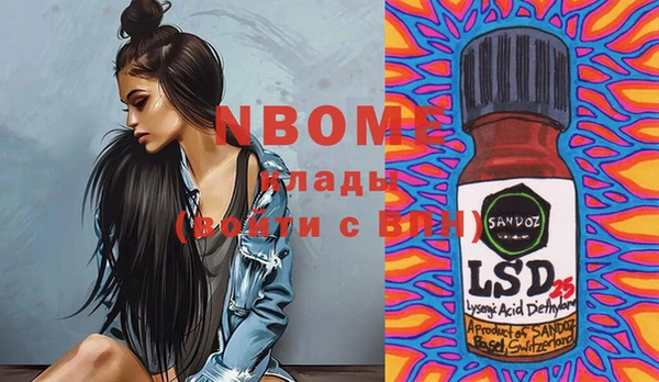 индика Пестово
